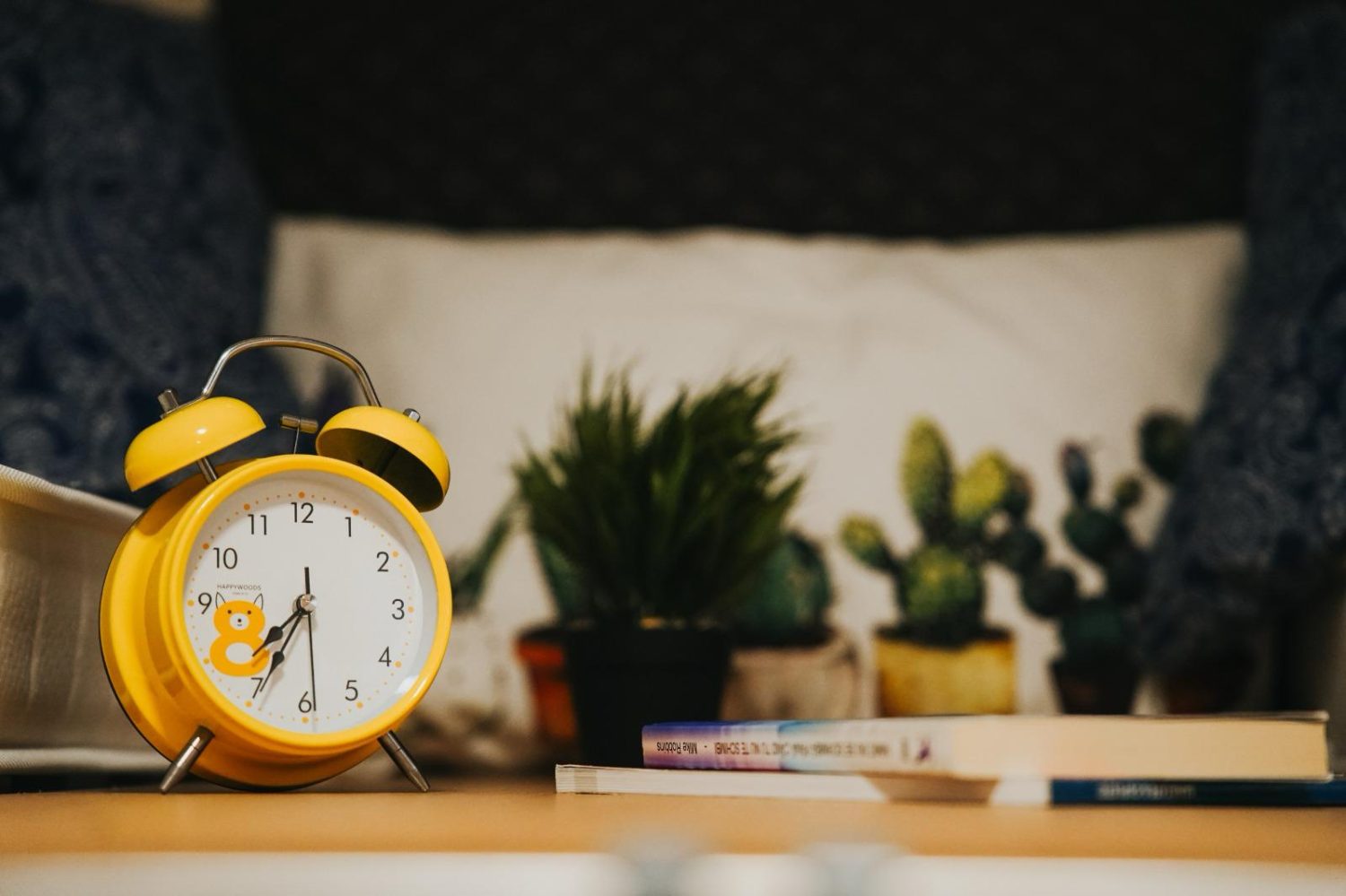 WhatsApp Image 2024-04-09 at 15.02.53 (13)